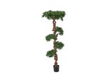 bonsai boom 180 cm